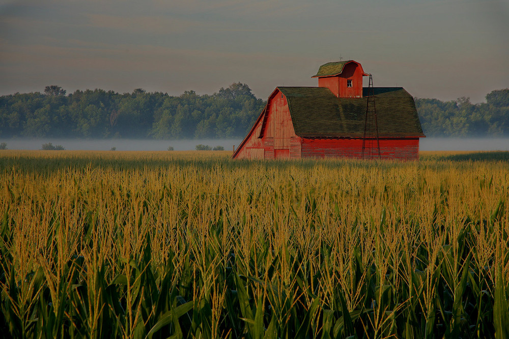 farm and crop insurance in Troy STATE | Insurance Solutions Group